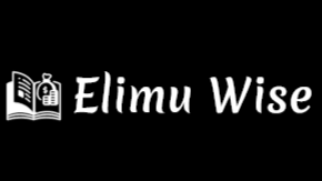 Elimu Wise Logo